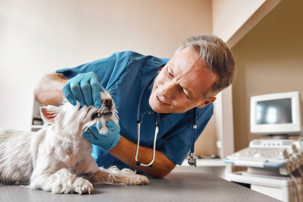 Best Emergency Dental Extractions in Kennewick, WA